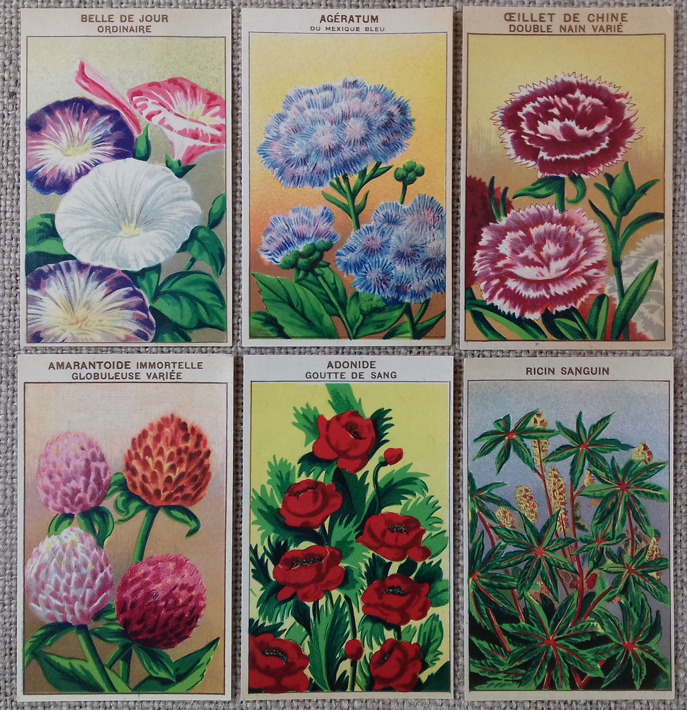 Antique Flower Seed Packet Sticker Sheet Vintage Seed Packs 