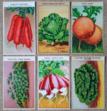 72 Vegetable Lithographs Old French Seed Packet Labels