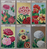 24 Vintage Seed Packet Labels Flowers Set 1