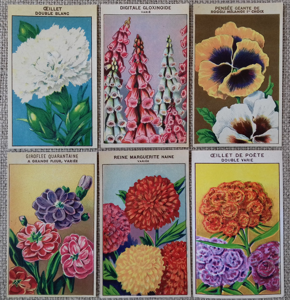 1898 Floral Guide Vintage Flowers Seed Packet metal tin sign vintage wall  art