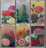 24 Vintage Seed Packet Labels Flowers Set 2