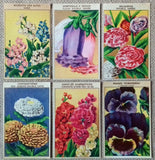 144 Vintage Seed Packet Labels Flower & Vegetable
