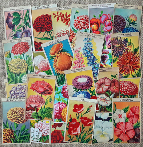 24 Vintage Seed Packet Labels Flowers Set 3