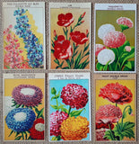 144 Antique Seed Packet Labels Flowers