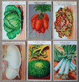 24 Vintage Seed Packet Labels Vegetables Set A