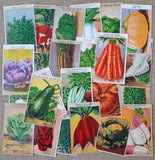 24 Vintage Seed Packet Labels Vegetables Set B