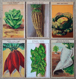 24 Vintage Seed Packet Labels Vegetables Set B