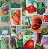 24 Vintage Seed Packet Labels Vegetables Set C