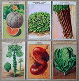 144 Vegetable Lithographs Old French Seed Packet Labels