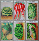 24 Vintage Seed Packet Labels Vegetables Set C